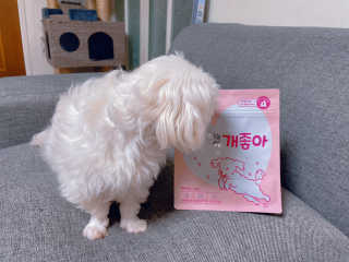 My Pet Care 천연단백질 관절건강에 개좋아 — 5점을 준 리뷰어가 2020년 11월 올린 사용 사진