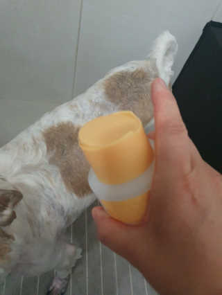별이맘님이 올린 리뷰 사진 1