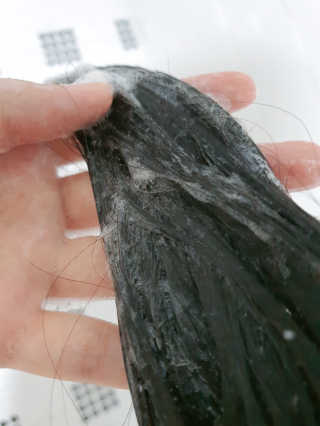 에이처드 유산균 탈모 샴푸 500ml — 4점을 준 리뷰어가 2020년 9월 올린 사용 사진
