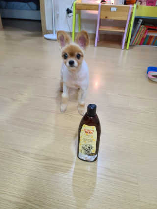 다솜다빈이아빠님이 올린 리뷰 사진 3
