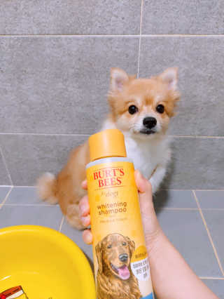 설탕님이 올린 리뷰 사진 3