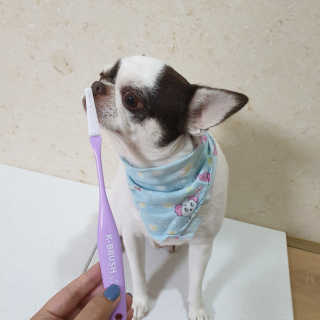 mini unni님이 올린 리뷰 사진 1