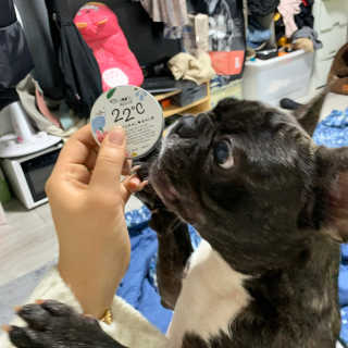 poipoo님이 올린 리뷰 사진 3