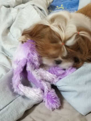 하나님이 올린 리뷰 사진 1