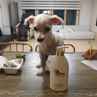 예민한 피부를 위한 코코몰리 All in one 자연유래 샴푸 — 5점을 준 리뷰어가 2020년 9월 올린 사용 사진