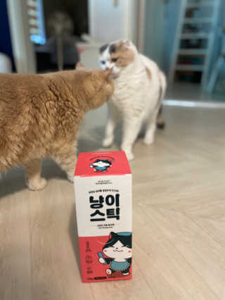 망나니집사님이 올린 리뷰 사진 2