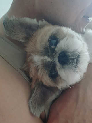 보리엄마님이 올린 리뷰 사진 3