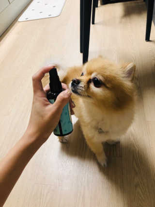 쿠키쿠님이 올린 리뷰 사진 4