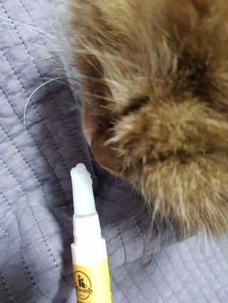 옹알이님이 올린 리뷰 사진 1