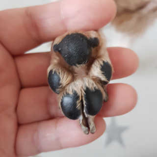 헤이뷰님이 올린 리뷰 사진 4