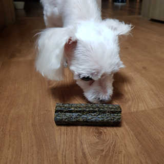 영지버섯님이 올린 리뷰 사진 1