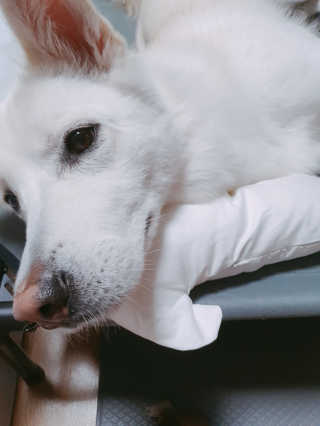 딸랑구둘🥰님이 올린 리뷰 사진 2