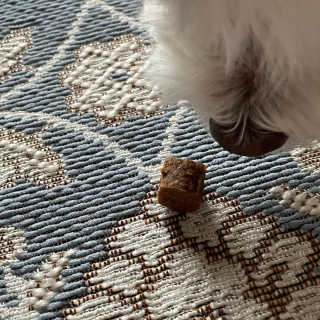 My Pet Care 천연단백질 관절건강에 개좋아 — 4점을 준 리뷰어가 2020년 12월 올린 사용 사진