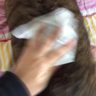 브리이에님이 올린 리뷰 사진 4