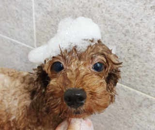 진시님이 올린 리뷰 사진 4