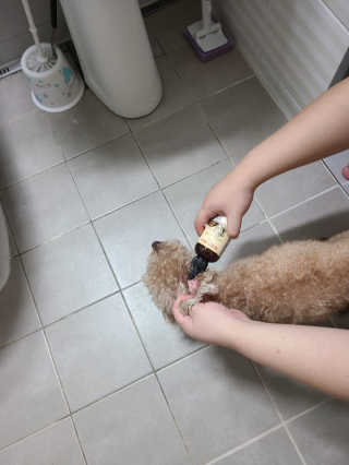 초코에몽님이 올린 리뷰 사진 2