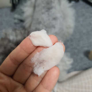 김이설님이 올린 리뷰 사진 3