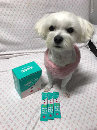 펫시랩 반려견용 액상 프리바이오틱스 아쿠아펫 — 5점을 준 리뷰어가 2020년 11월 올린 사용 사진