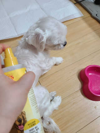 송이송이님이 올린 리뷰 사진 3