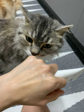 시묘님이 올린 리뷰 사진 4