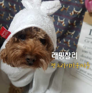 사랑해안시영님이 올린 리뷰 사진 1
