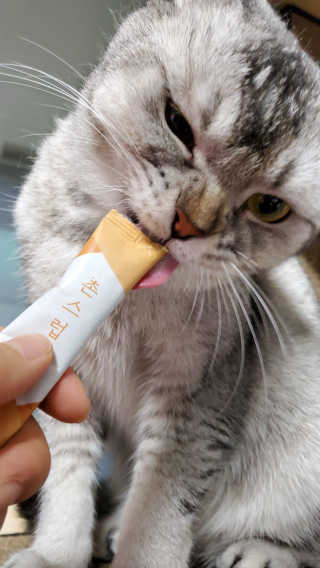 으하하하하님이 올린 리뷰 사진 1