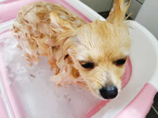 으콩님이 올린 리뷰 사진 4