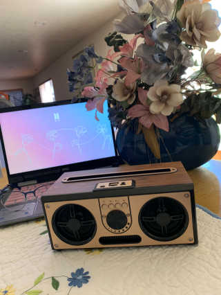 SEVIZ RETRO20W 레트로 블루투스 스피커 — 4.5점을 준 리뷰어가 2020년 6월 올린 사용 사진