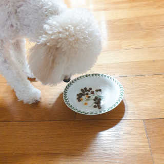 [풀무원 아미오] 자연담은식단 1kg 3종 — 5점을 준 리뷰어가 2020년 12월 올린 사용 사진