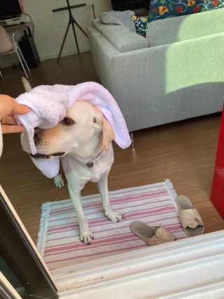 정봐기린님이 올린 리뷰 사진 2