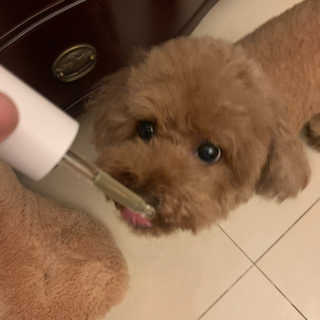 뚜루님이 올린 리뷰 사진 2