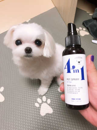 뚜덩맘님이 올린 리뷰 사진 4