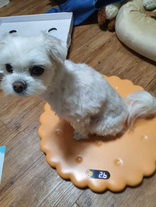 뽀오오옹님이 올린 리뷰 사진 1