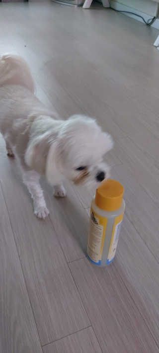fall님이 올린 리뷰 사진 2