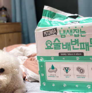 태풍님님이 올린 리뷰 사진 2