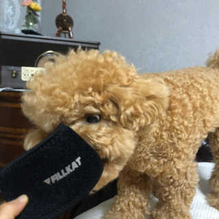 앙버터뉴나님이 올린 리뷰 사진 3