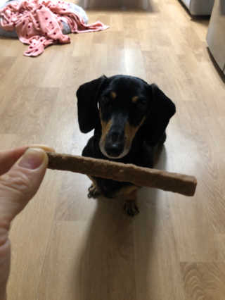 My Pet Care 천연단백질 치아건강에 개좋아 — 5점을 준 리뷰어가 2020년 11월 올린 사용 사진