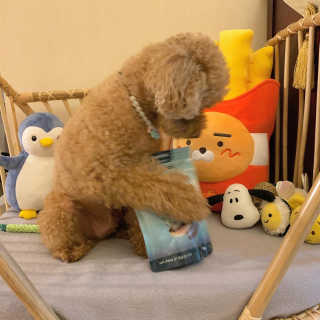 뚜루님이 올린 리뷰 사진 3