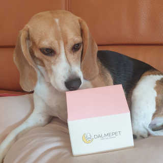 beaglelove님이 올린 리뷰 사진 1