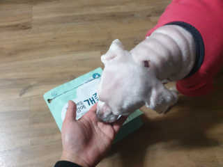 My Pet Care 천연단백질 눈건강에 개좋아 — 5점을 준 리뷰어가 2020년 12월 올린 사용 사진