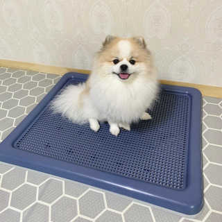 오아희님이 올린 리뷰 사진 1