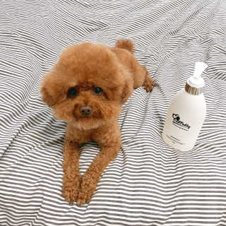 예민한 피부를 위한 코코몰리 All in one 자연유래 샴푸 — 5점을 준 리뷰어가 2020년 7월 올린 사용 사진