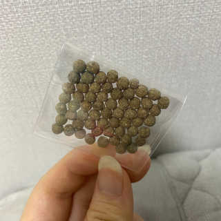 반짝님이 올린 리뷰 사진 4