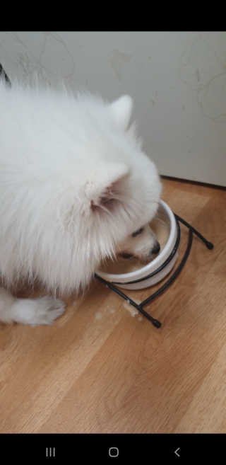 콩이맘마님이 올린 리뷰 사진 3