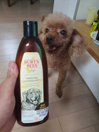 루시님이 올린 리뷰 사진 1