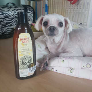 또로링님이 올린 리뷰 사진 4