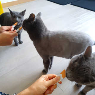 여온님이 올린 리뷰 사진 1