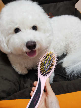 아이캔디 레인보우 볼륨S  브러쉬 for PET 미디엄 — 4점을 준 리뷰어가 2020년 11월 올린 사용 사진