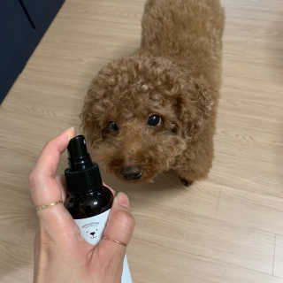 투밍님이 올린 리뷰 사진 2