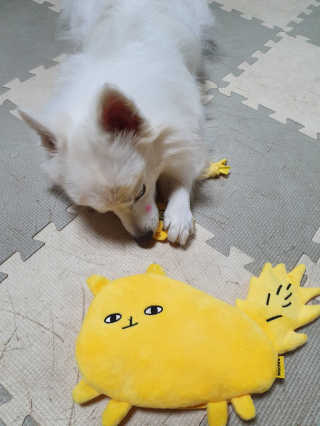 EunJeongKong님이 올린 리뷰 사진 2